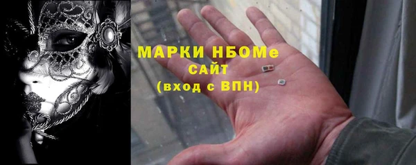 сатива Каменногорск