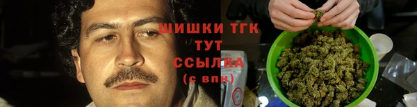 сатива Каменногорск