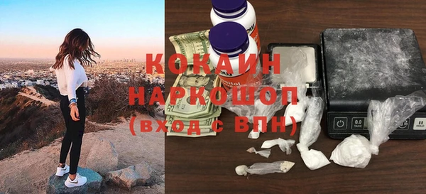 сатива Каменногорск