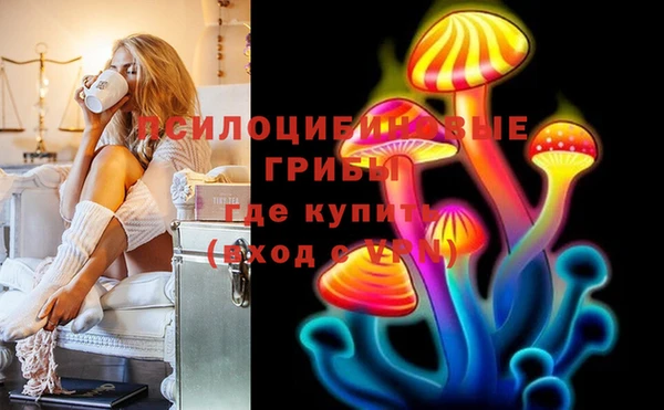 меф Каменск-Шахтинский