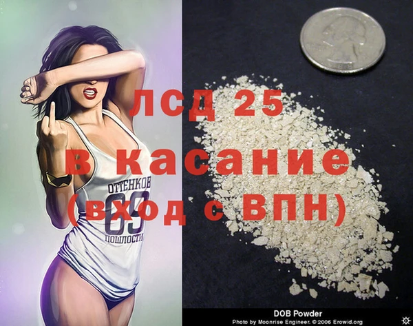 сатива Каменногорск