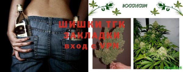 сатива Каменногорск