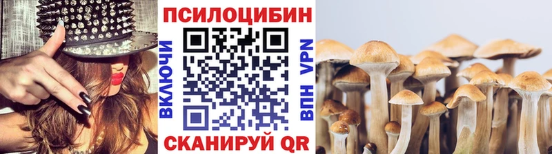 Галлюциногенные грибы MAGIC MUSHROOMS  Сурск 